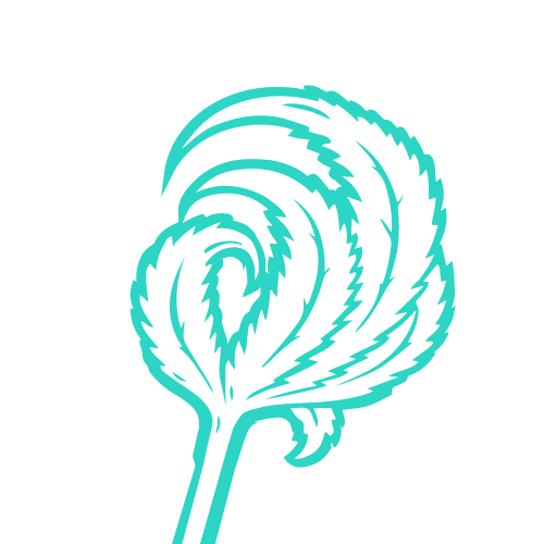 Cannabis Social Club Lollipot e.V.